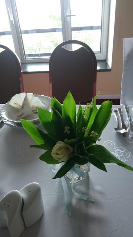 Hotel Plock Bagian luar foto