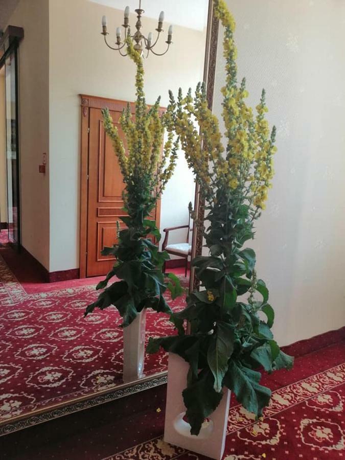 Hotel Plock Bagian luar foto